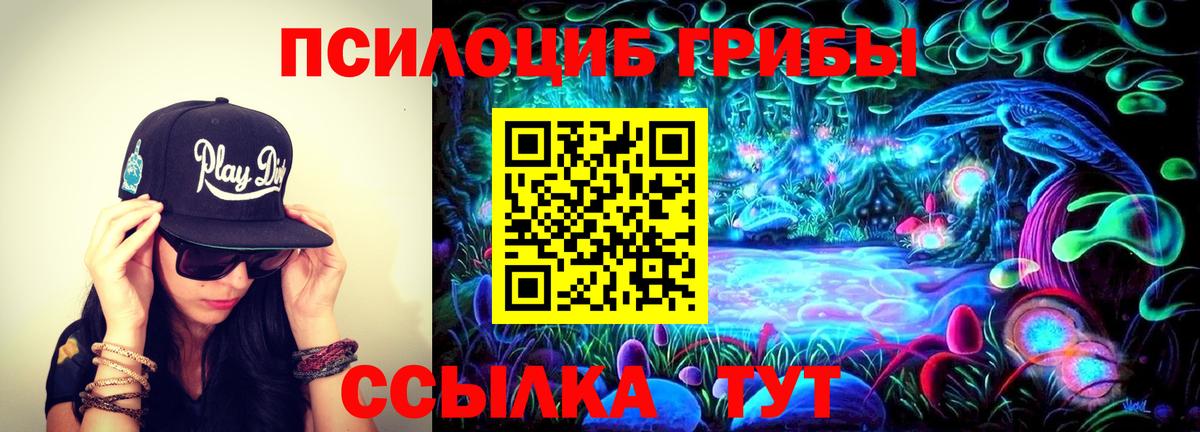 Анжеро-Судженск  Псилоцибиновые грибы прущие грибы  Вход с VPN 